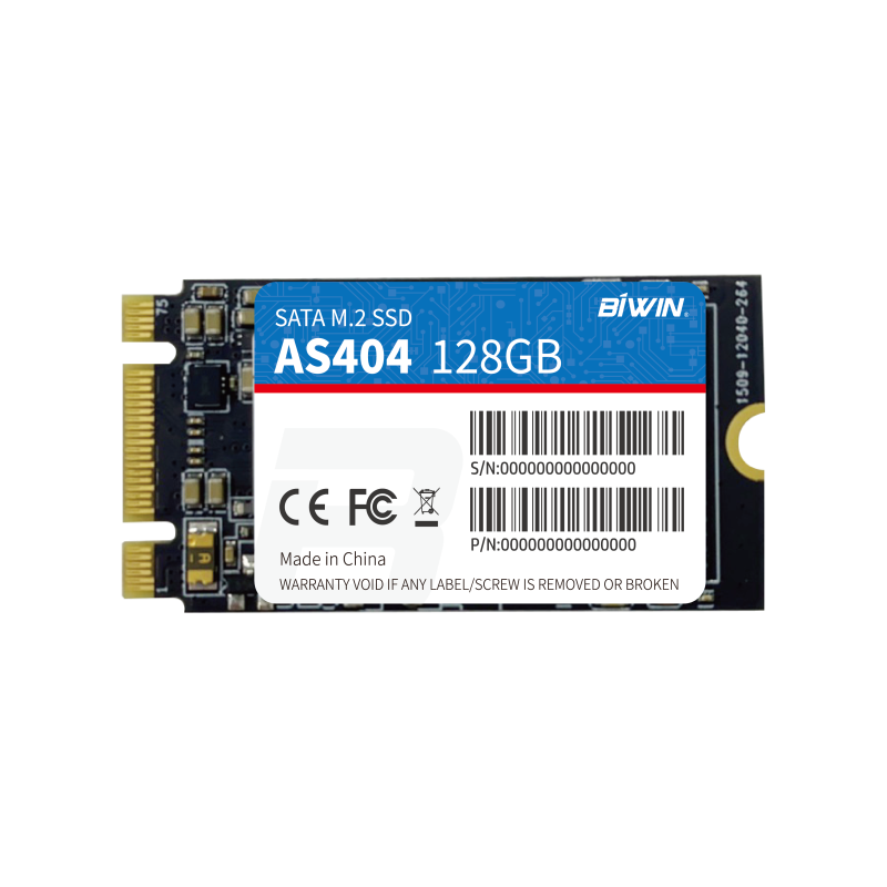 M.2 SATA SSD（图1）