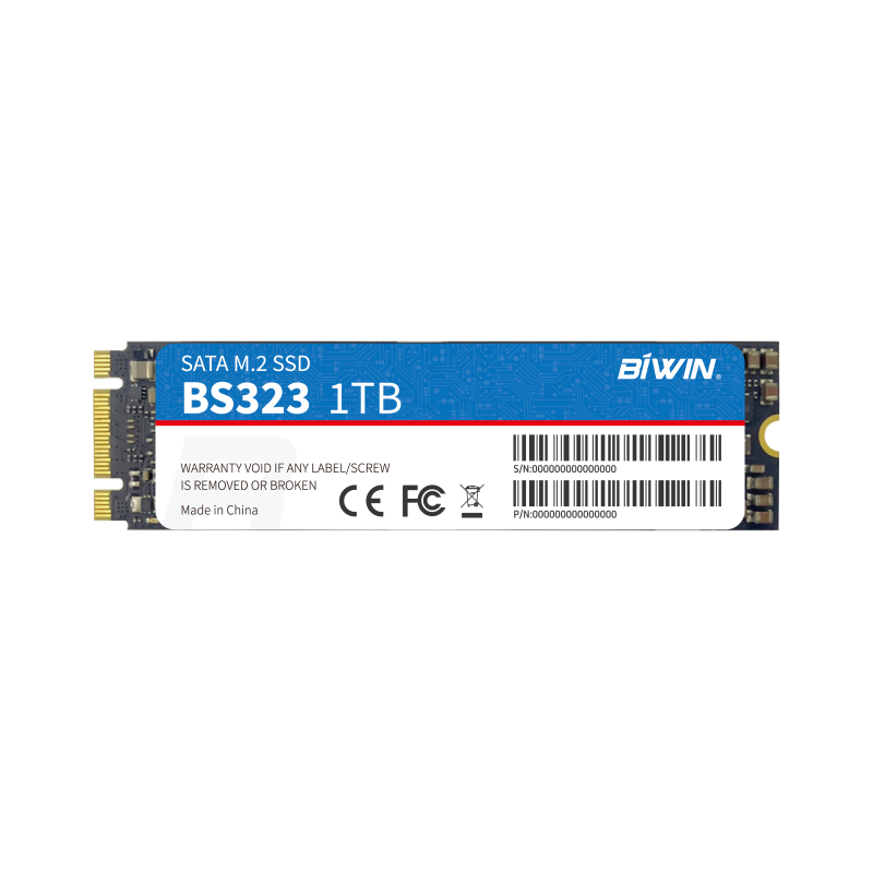 M.2 SATA SSD（图1）