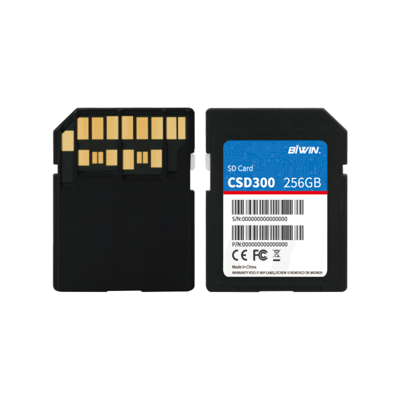 BIWIN SD Card（图1）