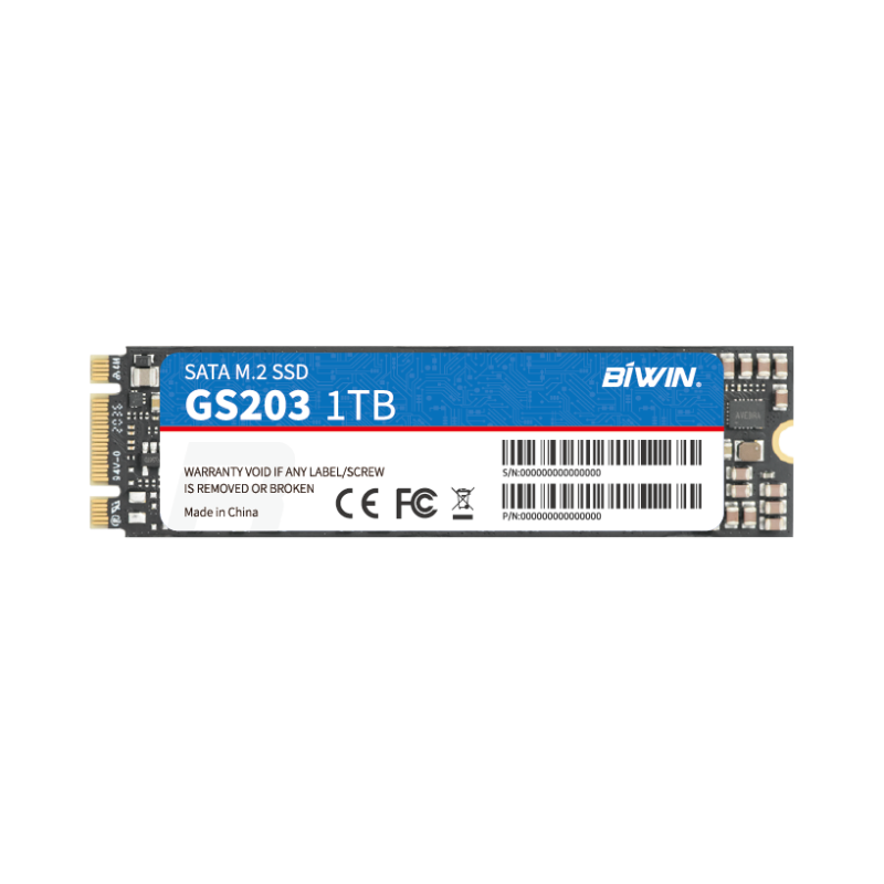 M.2 SATA SSD（图1）