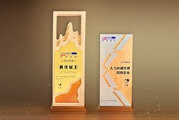 五彩堂国际一举斩获“2024年度中国区最佳雇主”等多项大奖